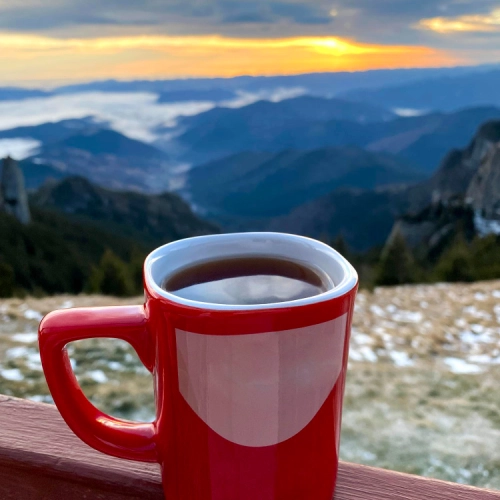Tea with a View (1)