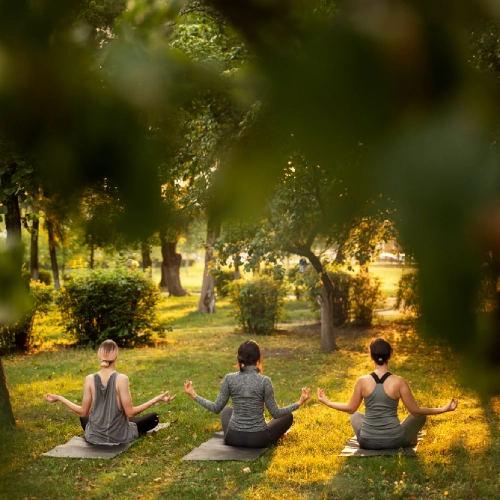 Yoga & Wellness Retreats (1)